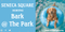 Example of Custom Horizontal Banner