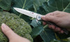 AL MAR KNIVES 2.7" Ultra-Thin 27 Folding Knife