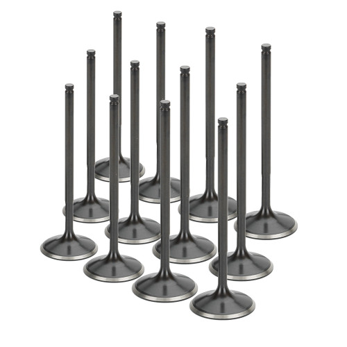 [PN: TIVN-1016-12] Supertech Toyota Supra 2JZ Black Nitrided Intake Valve - +1mm Oversize - Set of 12