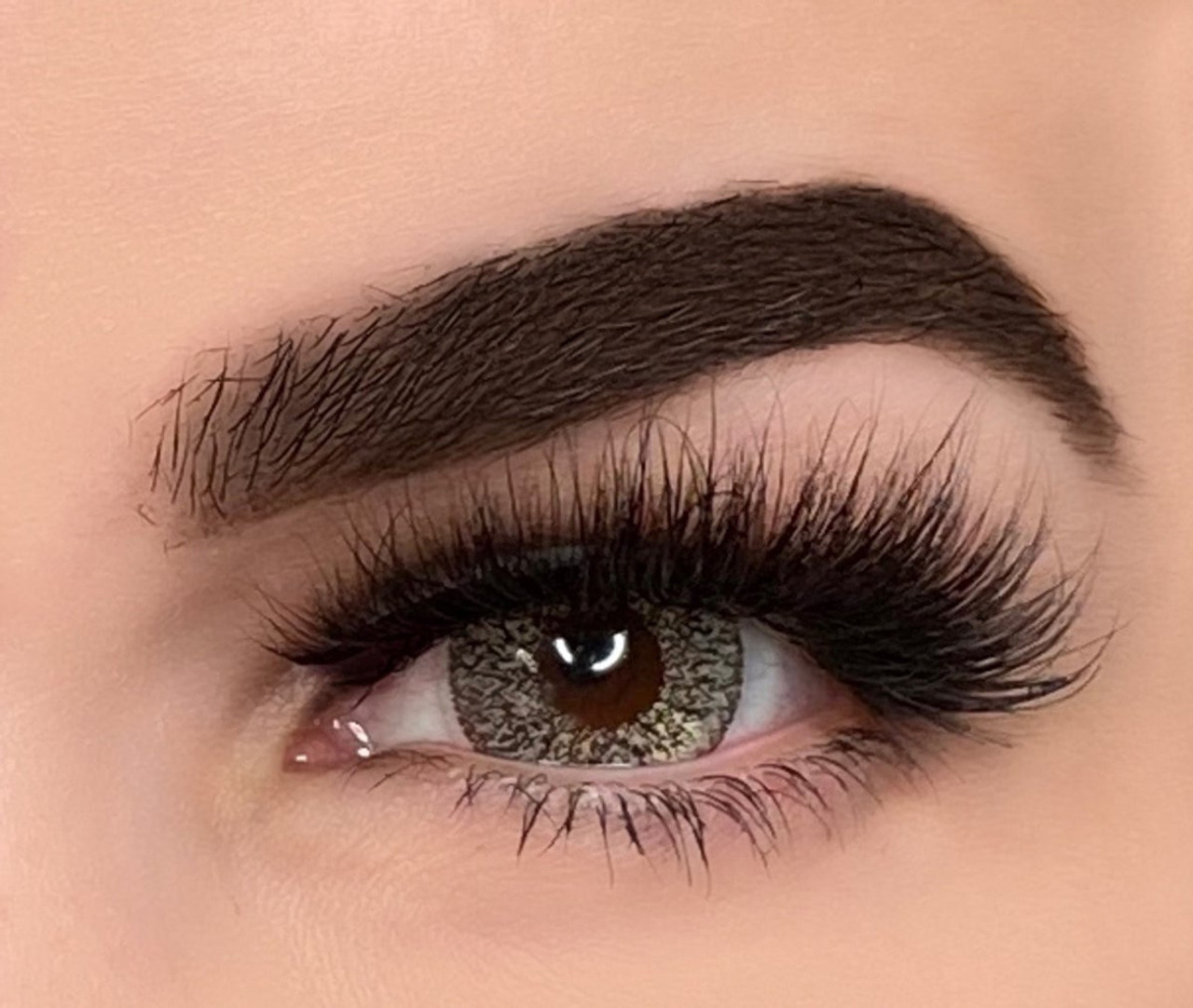 FreshTone Jupiter Hazel Circle Lenses