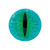 Cat Eye Green circle lenses are stunning 3 toned teal slit pupil effect colored contacts/ Transform your eyes with an intense feline stare in vibrant aqua blue and green color, while each pair of circle lenses comes with a free contact lens case and ships fast from the USA. Cat Eye Green circle lenses are stunning 3 toned teal slit pupil effect colored contacts/ Transform your eyes with an intense feline stare in vibrant aqua blue and green color, while each pair of circle lenses comes with a free contact lens case and ships fast from the USA.