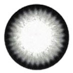 EOS Dolly Eye Dreamy I Grey Circle Lenses