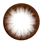 Circle Lenses Dolly Eye Circle Brown