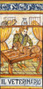 Veterinarian Tile -  Il Veternario  Italian ceramic tile Hand painted Italian tile from Castelli, Italy. 