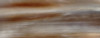 Ox Horn