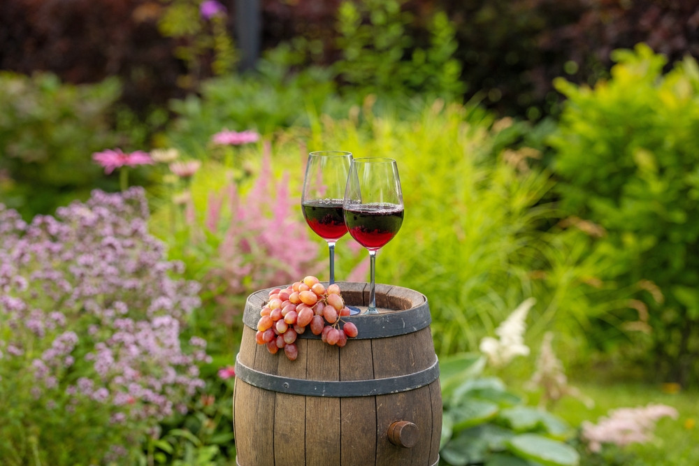 Mamertino - Julius Caesar's Favorite Wine