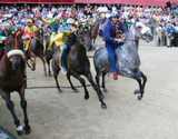 Palio di Siena - The Most Insane Horserace