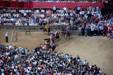 WINNERS – Palio di Siena Horserace