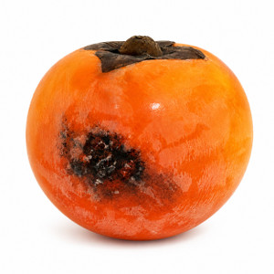 Persimmon - Italian Carrara Marble Fruit