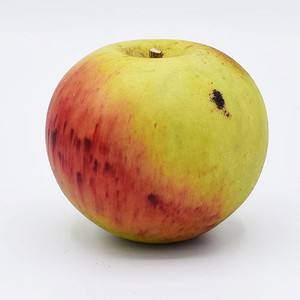 Apple - Ancient - Italian Carrara Marble Fruit