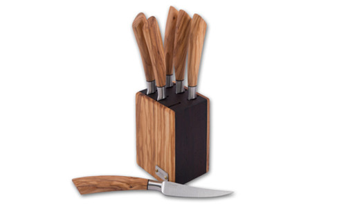 Coltellinai Saladini Knives Cube Block with 6 Steak Knives