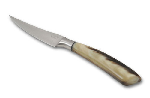 https://cdn11.bigcommerce.com/s-h0473u/images/stencil/500x659/products/875/4165/Coltellinai_Saladini_Knives_Steak_Knife_-_Ox_Horn__61401.1532544675.jpg?c=2