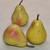 Pear - "Small" Yellow - Italian Carrara Marble Fruit