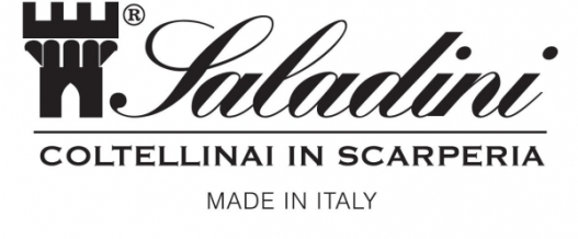 https://cdn11.bigcommerce.com/s-h0473u/product_images/uploaded_images/saladini-logo.jpg