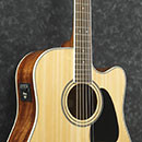 Ibanez AW70ECE Acoustic Electric Guitar Beggs Music Shop Nelson Musical