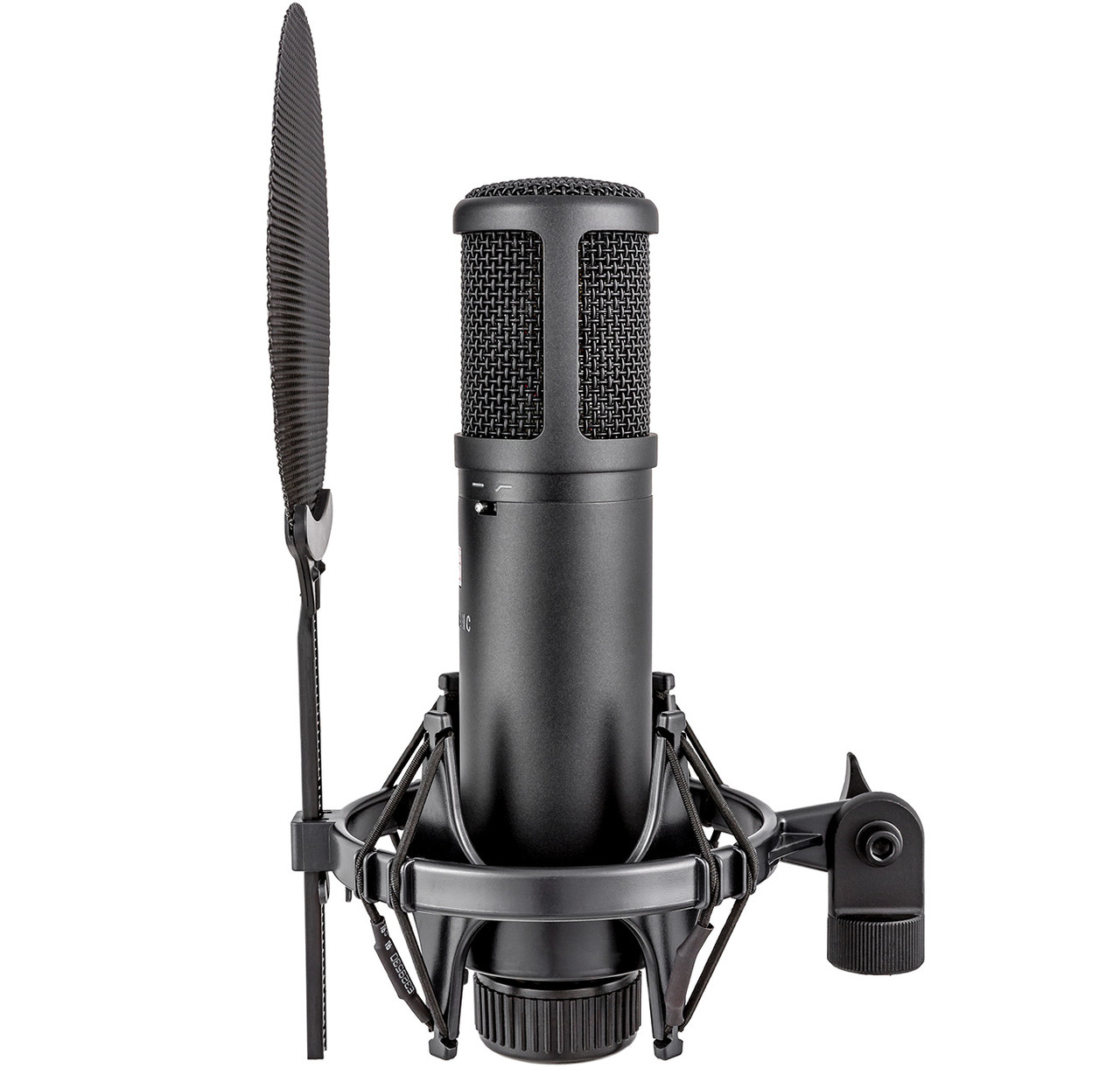 sE Electronics sE2200 Large Diaphragm Condenser Microphone - Beggs