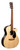 Martin GPCX2E Cocobolo