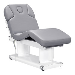 DIR Electric Medical SPA Treatment Table, Luxi, Grey