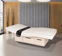 LEC CENTURY CITY Dual-Pedestal Low-Range Treatment Table