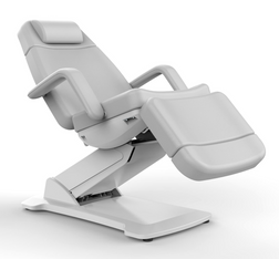 ARCADIA Electric Facial Chair in light gray