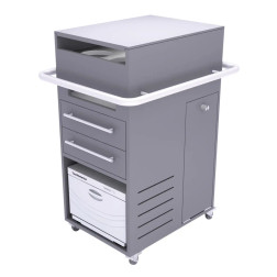 Touch America Universal Spa Trolley, Gray, Full View