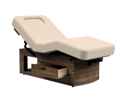 Oakworks PREMA e-nvi Electric Salon Top Spa Treatment Table Oakworks PREMA e-nvi Electric Salon Top Spa Treatment Table