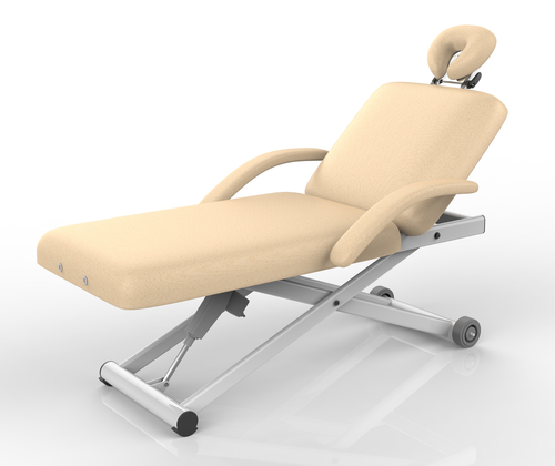 BLISS ADA Compliant Electric Lift Massage Table, Tilt Top
