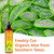 Seven Minerals, After Sun Solar Recovery Spray with Aloe Vera, 12 fl oz, Freshly Cut Organic Aloe
