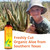 Seven Minerals, Recovery After Sun Gel with Aloe Vera 12 fl oz, Freshly Cut Organic Aloe