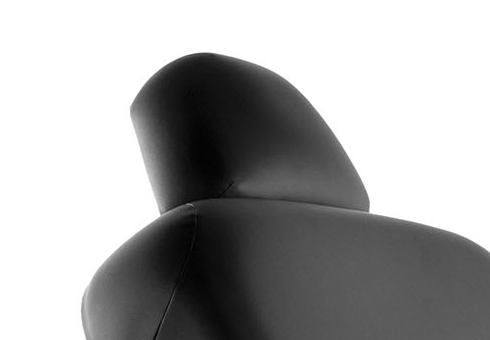 Hydra Head Rest
