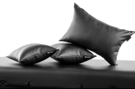 Tattoo Pillows