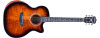 Washburn WCG12FCE Electro Acoustic