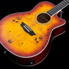 Washburn DFBACEA Deep Forest Burl Grand Auditorium Acoustic Electric Guitar Amber Fade