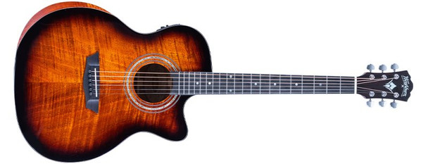 Washburn WCG12FCE Electro Acoustic
