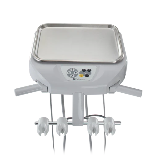 Belmont EVOGUE Traditional delivery system