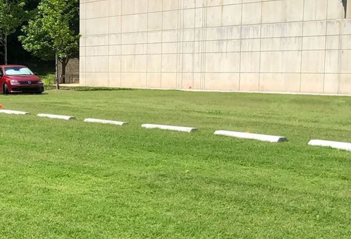 Grass paver system with healthy turf grown through the cells