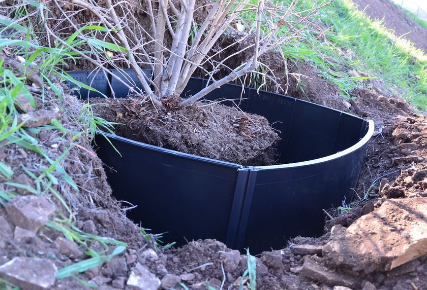 Root barrier panel being installed in a trench along a walkway