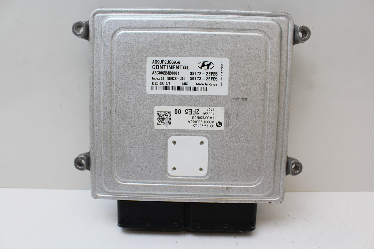 2019 19 Elantra 39173-2EFE5 Computer Brain Engine Control ECU ECM EBX Module 2019 19 Elantra 39173-2EFE5 Computer Brain Engine Control ECU ECM EBX Module