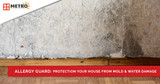 Allergy Guard: Protection Your House From Mold & Water Damage