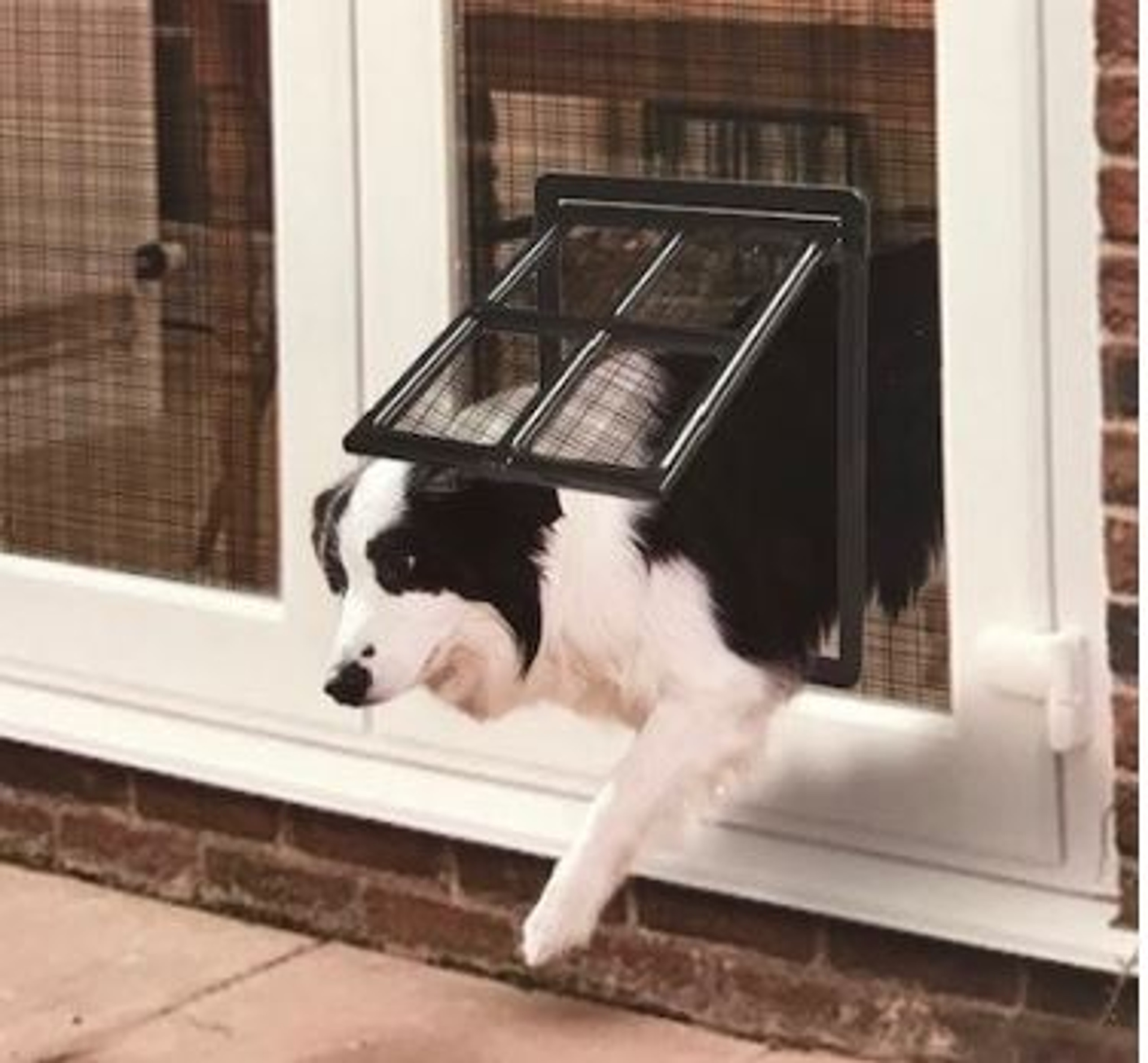 12 Inch x 16 Inch Pet Door For Screen Doors Buy a Pet Door Screen Door