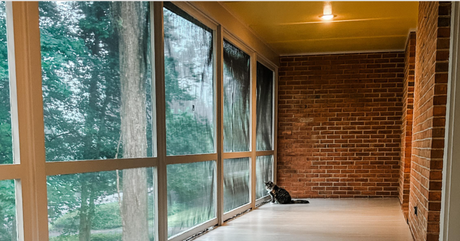 MeshGuard for Screened-In Porches: How One Family Made Their Second Floor Porch Safe for Kids and Cats