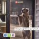 Golden retriever standing against pet-resistant sliding screen door. Reinforced screen keeps pets safe indoors while allowing fresh air and visibility.