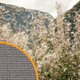 Pollen guard screen mesh is designed to block up to 50% more particles than standard fiberglass insect screen.
