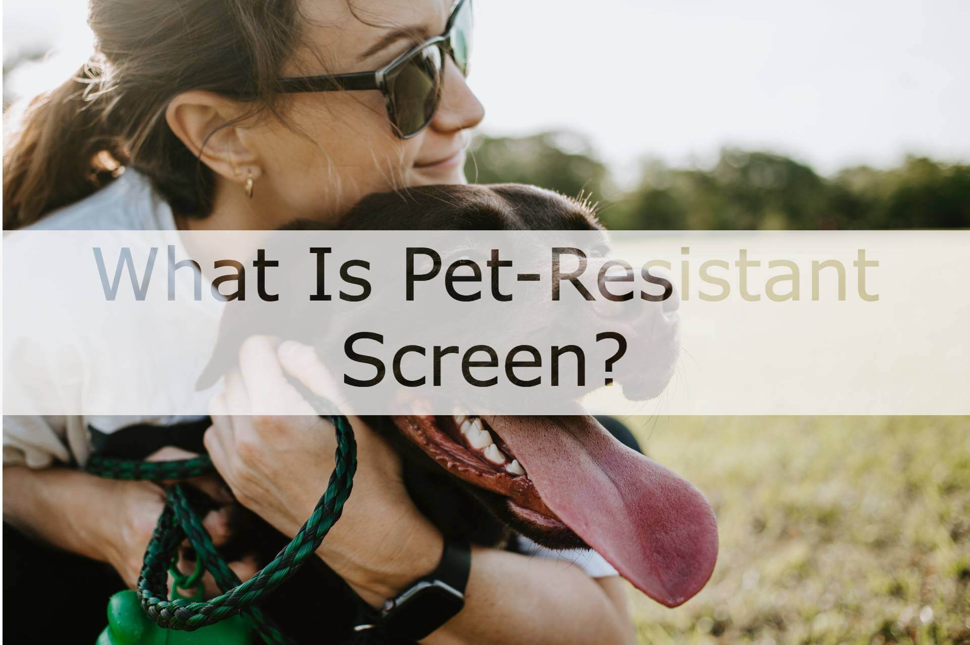 What is PetResistant Screen? METRO SCREENWORKS