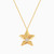 LIN354 - Star Diamond Necklace in 18K Gold - 111402100035-1.jpg