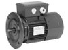 BR13S2AC3 Definite Purpose TEFC FCR Series Brakemotor 1/3 HP