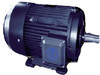 P32T182T TEFC Cast Iron Motor 3 HP 3600 RPM