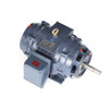 GT0462 JM Close-Coupled Pump Three Phase Dripproof Motor 20 HP