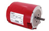 H1049 Hot Water Circulator Pump Motor 1-1/2 HP