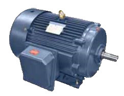 SD124 Three Phase TEFC Severe Duty Motor 20 HP